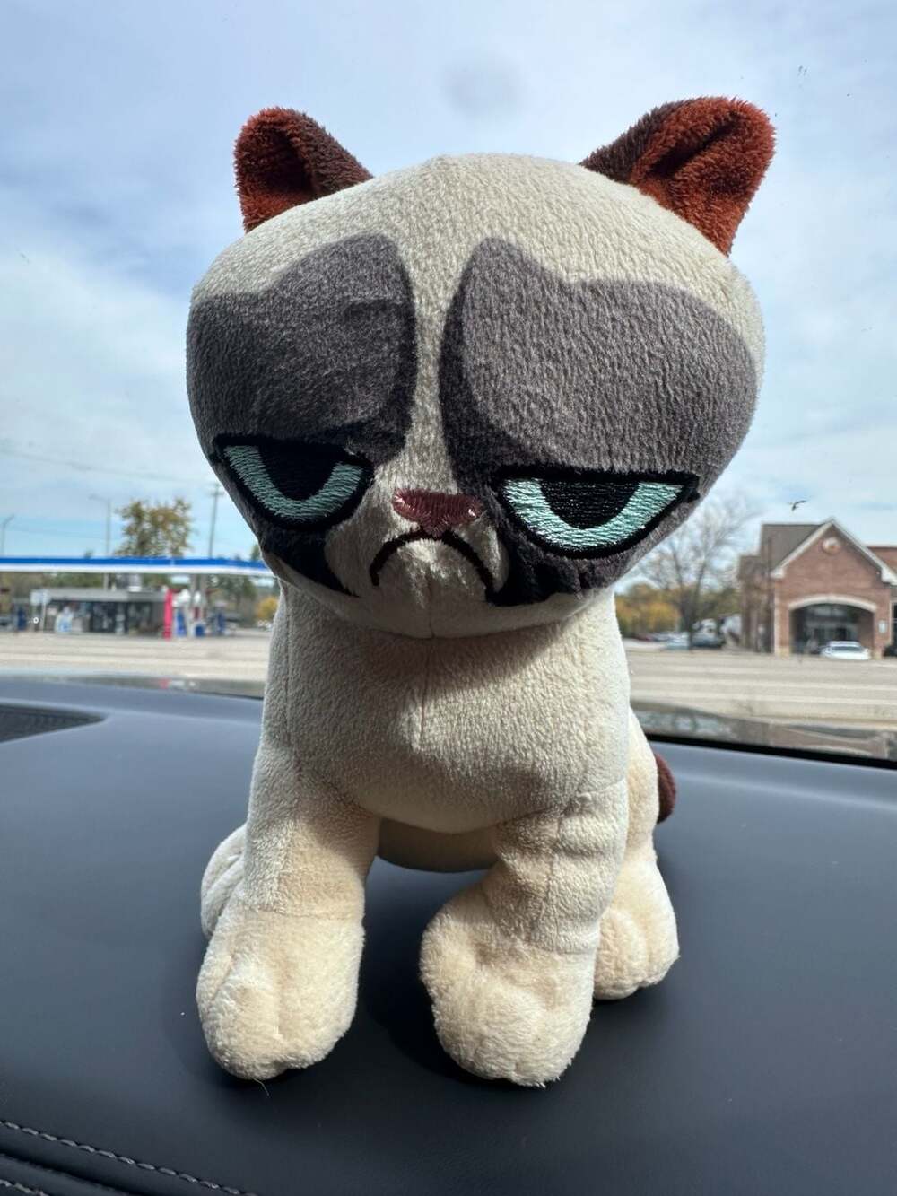 Grumpy Cat Plush Stuffed Animal Toy